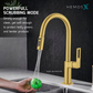 HEMOS KITCHEN FAUCET BRASS PULL OUT MIXER PILLAR SINK TAP KEPALA PAIP DAPUR HM-19109