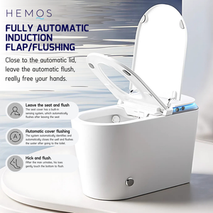 HEMOS BATHROOM SMART TOILET INTELLIGENT WATER CLOSET AUTOMATIC MULTI-FUNCTIONAL HM-788-250-W