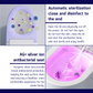 HEMOS BATHROOM SMART TOILET INTELLIGENT WATER CLOSET AUTOMATIC MULTI-FUNCTIONAL HM-788-250-W