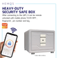HEMOS TUYA APP HEAVY DUTY ANTI-DRILLING & SMASHING FINGERPRINT DIGITAL SECURITY SAFETY BOX HM-LD-300,450-W