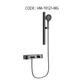 HEMOS BATHROOM 2 MODE BRASS BODY WITH STAINLESS STEEL CASING MIXER EXPOSED SHOWER SETS HM-19121-MG