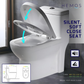 HEMOS BATHROOM WHITE CERAMIC ONE PIECE TOILET BOWL POWERFUL&QUIET DUAL FLUSH TOILET JAMBAN BILIK AIR