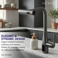 HEMOS KITCHEN FAUCET SUS 304 PULL OUT MIXER PILLAR SINK TAP GREY KEPALA PAIP DAPUR HM-19064,19089-MG