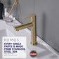 HEMOS BATHROOM FAUCET STAINLESS STEEL SUS 304 PILLAR BASIN TAP HM-3223 (SILVER, GUNMETALGRAY, GOLD)