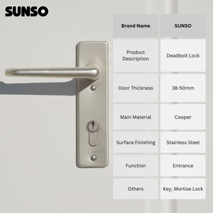 HEAVY DUTY 38-50MM STAINLESS STEEL MORTICE LOCK SET S6522AB