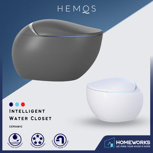 HEMOS BATHROOM SMART TOILET INTELLIGENT WATER CLOSET AUTOMATIC MULTI-FUNCTIONAL HM-784-250-W,G