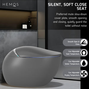 HEMOS BATHROOM SMART TOILET INTELLIGENT WATER CLOSET AUTOMATIC MULTI-FUNCTIONAL HM-784-250-W,G