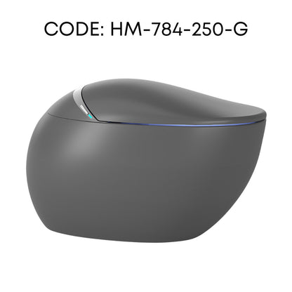 HEMOS BATHROOM SMART TOILET INTELLIGENT WATER CLOSET AUTOMATIC MULTI-FUNCTIONAL HM-784-250-W,G