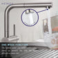 HEMOS KITCHEN FAUCET STEEL PULL OUT COLD PILLAR SINK TAP KEPALA PAIP DAPUR HM-19054-MS